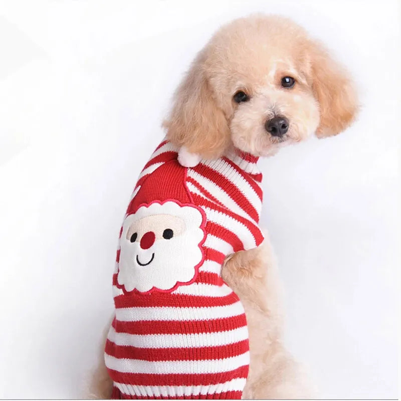 Christmas Striped Dog Shirt in Stripe Style