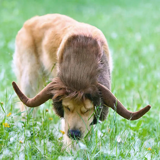 Head Wear Costume for Pets