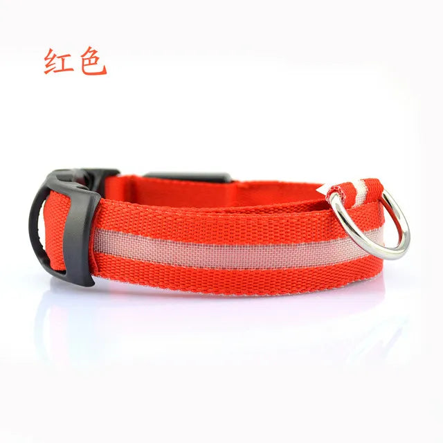 Nylon LED Safety Collar