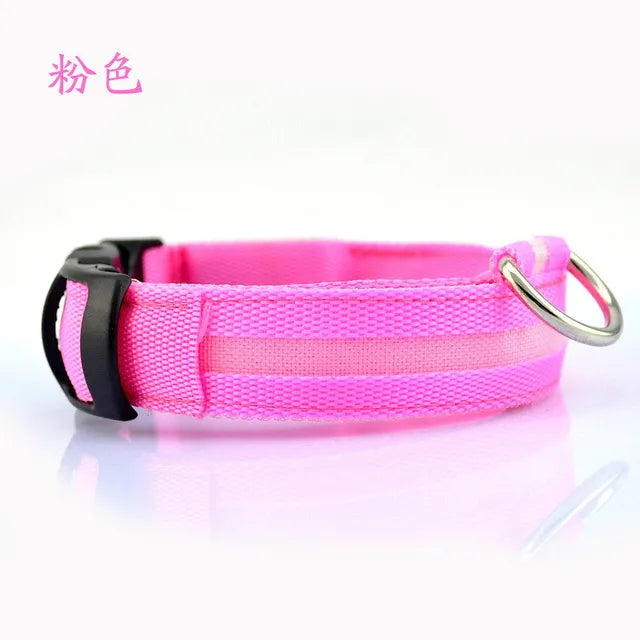 Nylon LED Safety Collar