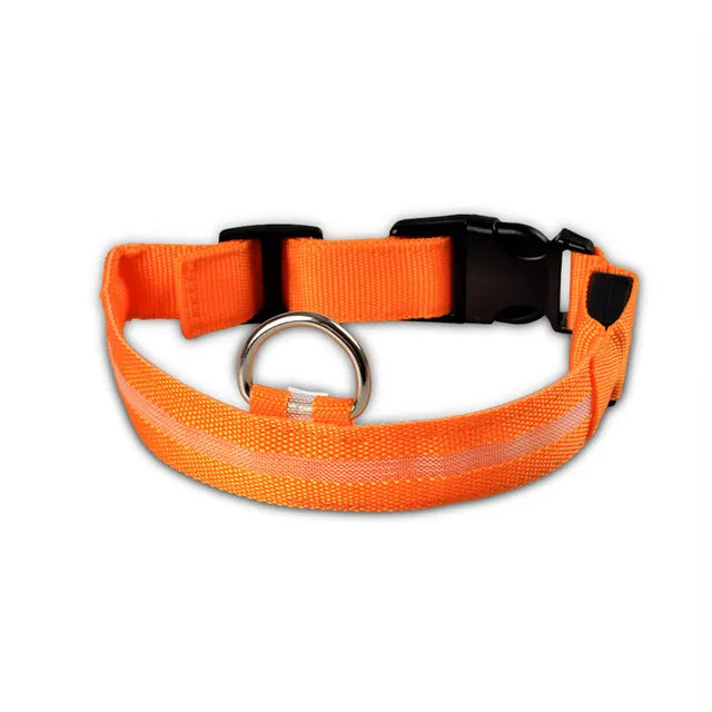 Nylon LED Safety Collar