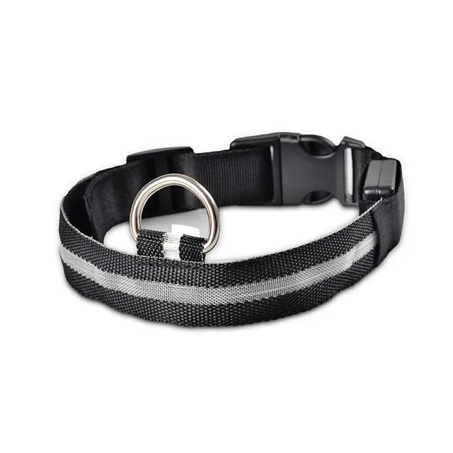 Nylon LED Safety Collar