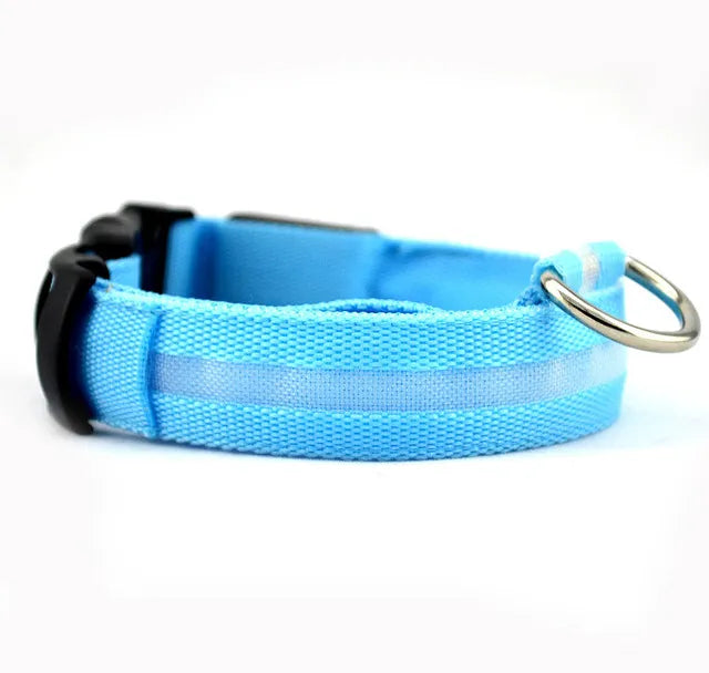 Nylon LED Safety Collar