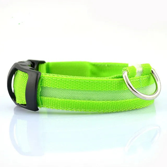 Nylon LED Safety Collar