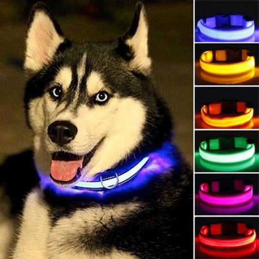 Nylon LED Safety Collar