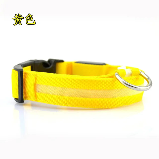 Nylon LED Safety Collar